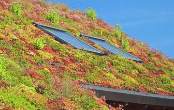 Stevington living roof systems