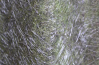 Stevington fibreglass roof work